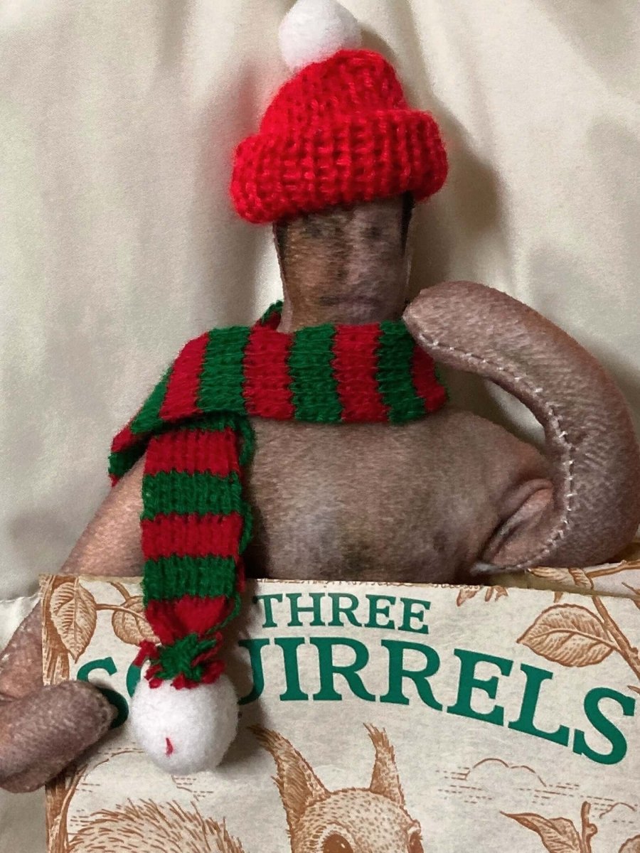 Mouse Jerky Christmas Outfits – Festive Holiday Wear - GiggleGizmo