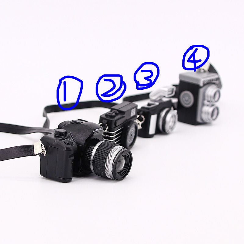 Mouse Jerky Photography Journey – Camera Model Experience - GiggleGizmo
