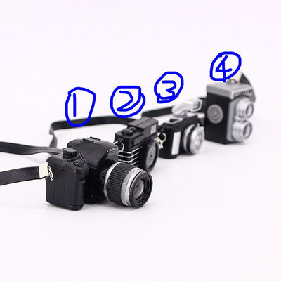 Mouse Jerky Photography Journey – Camera Model Experience - GiggleGizmo